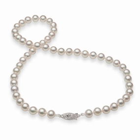 18-19" Akoya Pearl Strand with White Gold Clasp - 7-8mm Structured Shape Special Occasion Gift