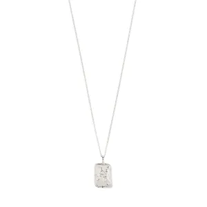 AQUARIUS Zodiac Sign necklace, silver-plated