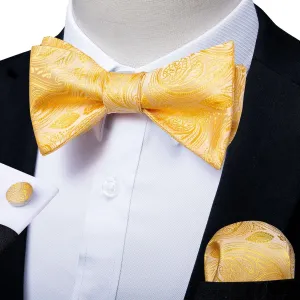 Daisy Yellow Paisley Matching Bowtie Set (3pc)