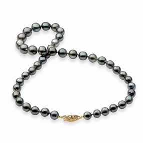 18-19" Tahitian Black Pearl Strand with Gold Clasp - 8-11mm Sleek Craft Elegant Fit