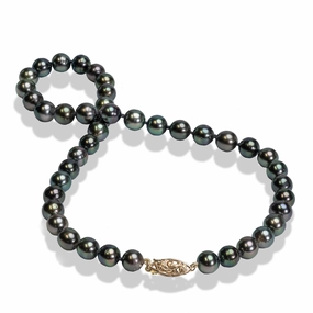 Refined Contour Sweet Spark 18-19" Tahitian Black Pearl Strand with Gold Clasp - 8-10mm