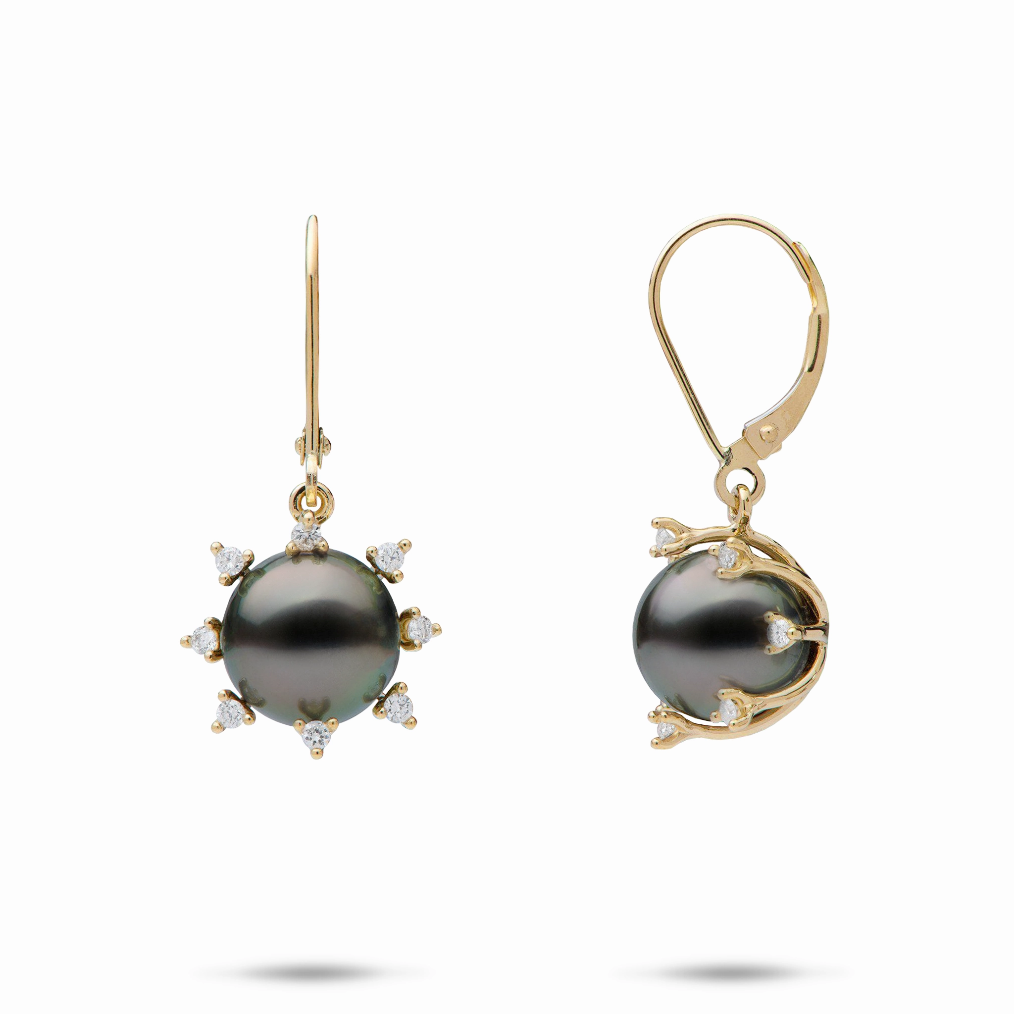 Protea Tahitian Black Pearl Earrings in Gold with Diamonds - 9-10mm Polished Highlights