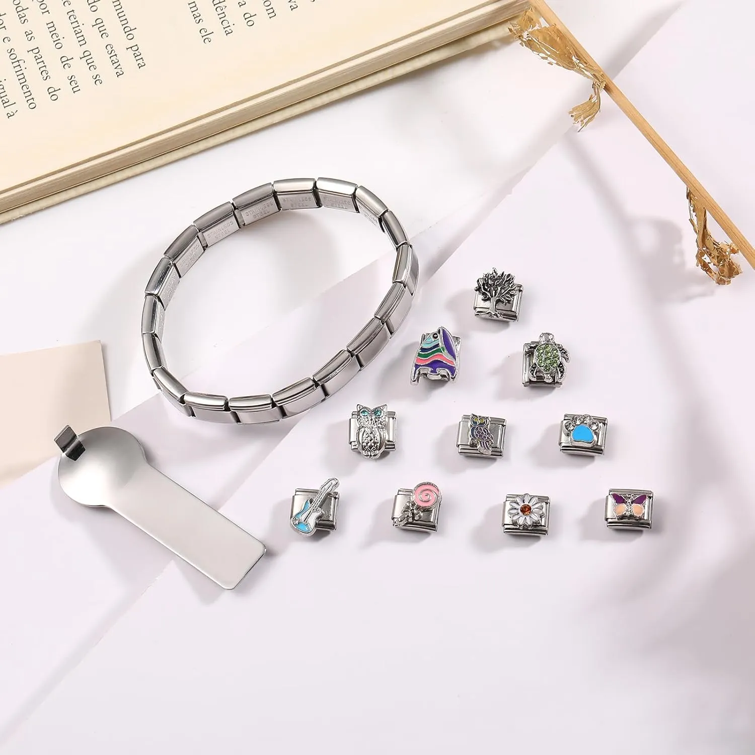 Italian Charms Bracelet Sets Removable Classic Stainless Steel 9mm Module Charm Bracelet with 1Pcs Start Bracelet,10Pcs Module Charms and Opening Tool DIY Fashionable Jewelry Gifts