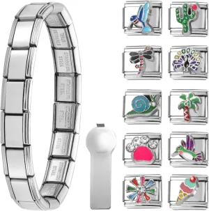 Italian Charms Bracelet Sets Removable Classic Stainless Steel 9mm Module Charm Bracelet with 1Pcs Start Bracelet,10Pcs Module Charms and Opening Tool DIY Fashionable Jewelry Gifts