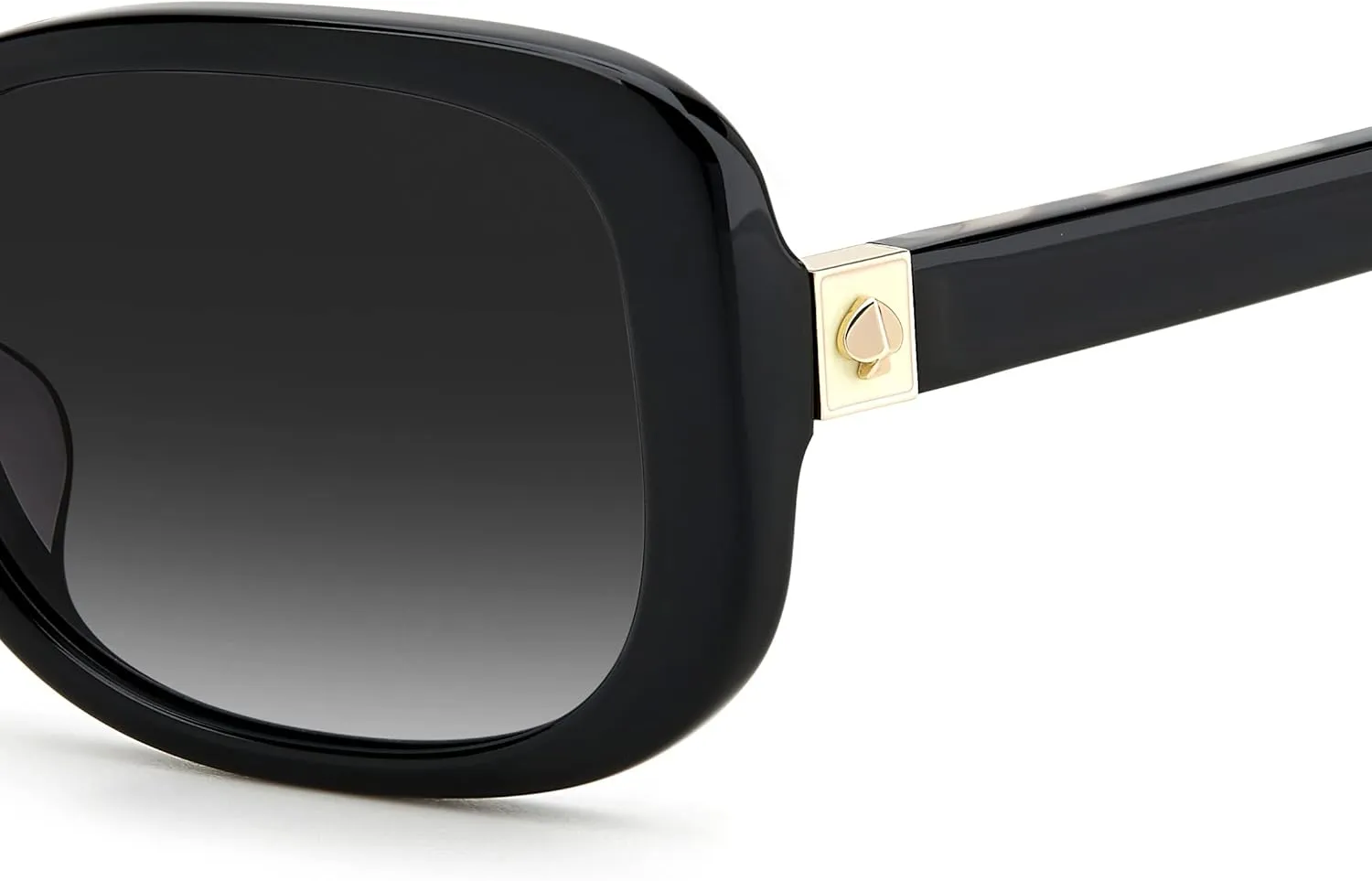 Kate Spade New York Women's Dionna/S Rectangular Sunglasses