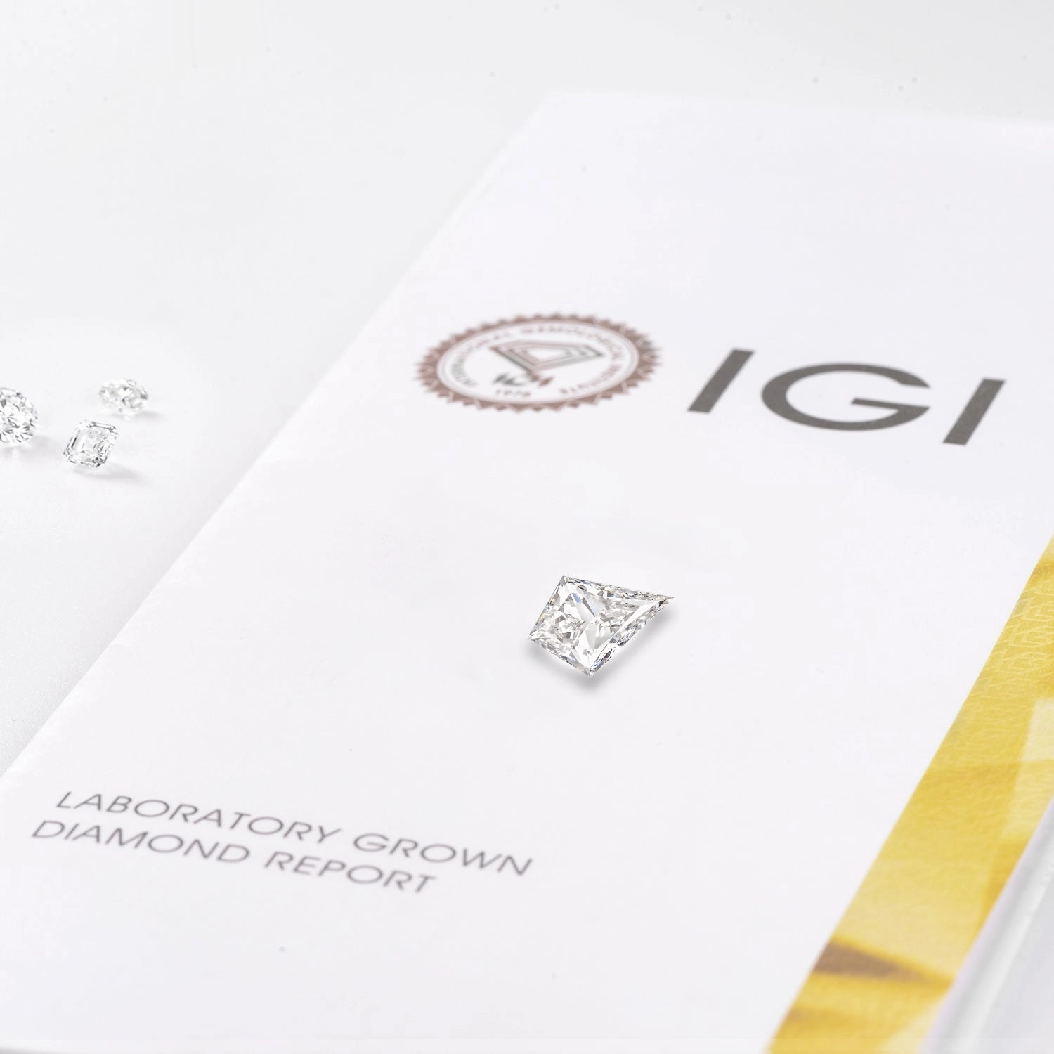 Kite Cut Blue Lab Grown Diamond Leafy Cage Ring Set - Vern Opulent Design Glowing Accent