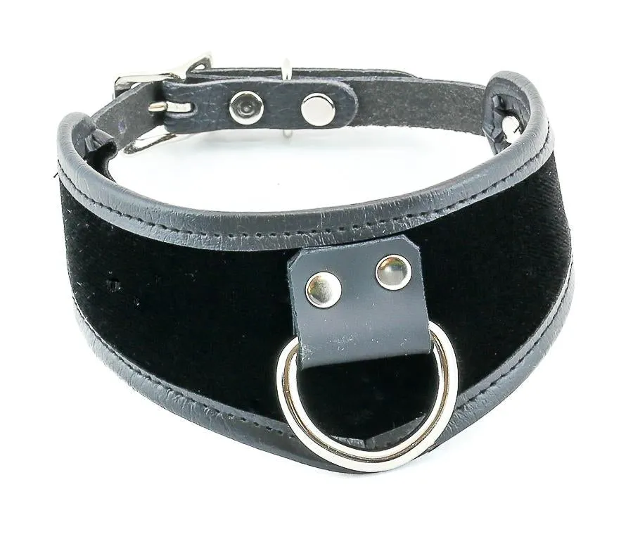 Leather Trim Velvet D Ring Posture Collar