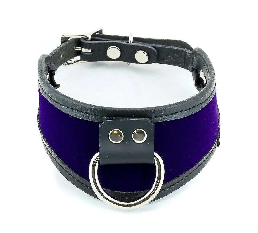 Leather Trim Velvet D Ring Posture Collar