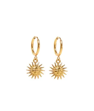 Nude Rose Stainless Steel 18K Gold Plated Vintage Chunky Hoop Earrings #E-413