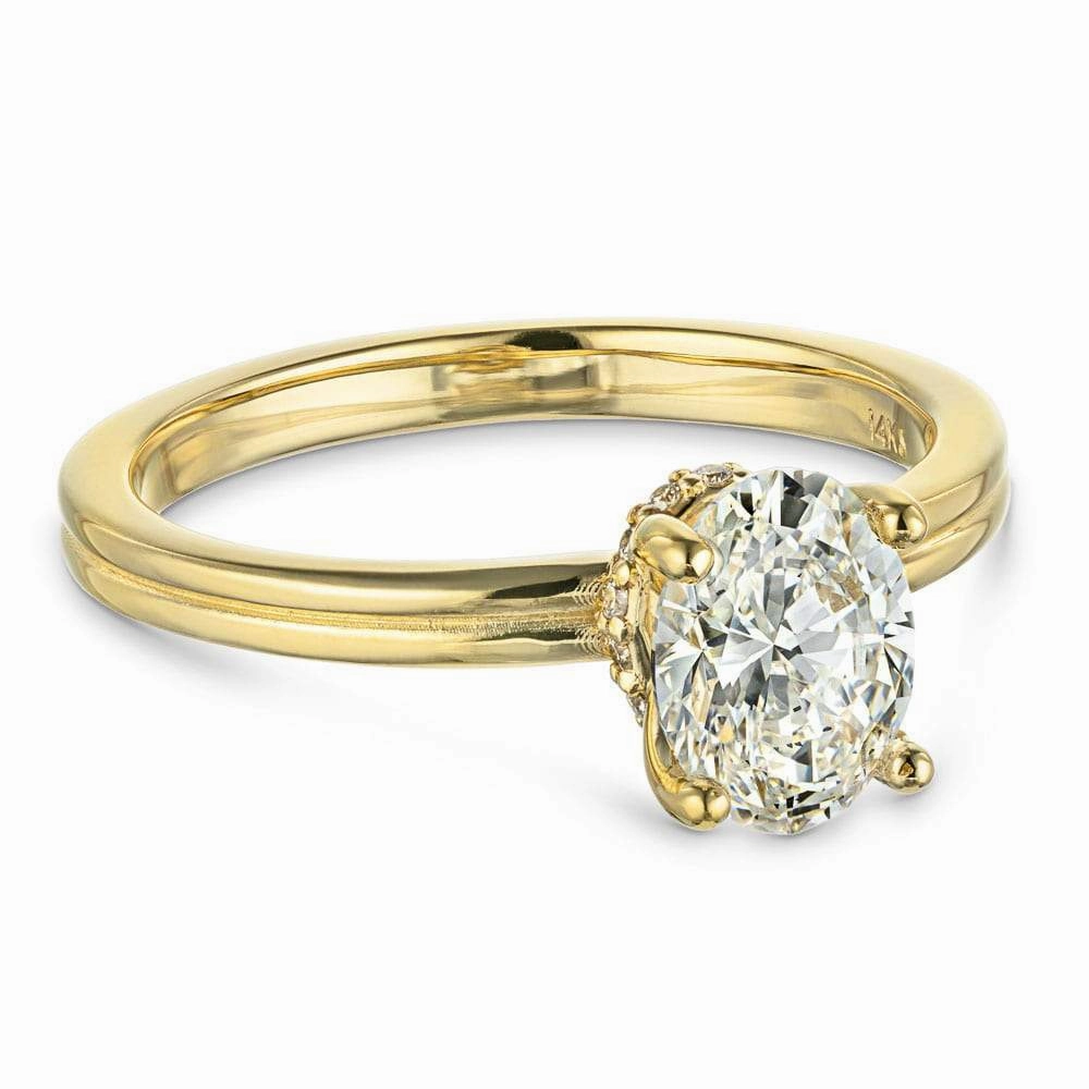 Celebration Accent Affordable Symbol Clara Lab Grown Diamond Double Band Hidden Halo Engagement Ring