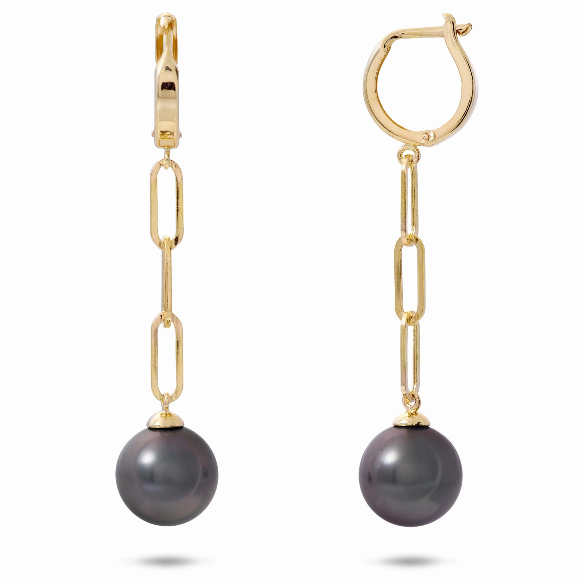 Versatile Fit Tahitian Black Pearl Paperclip Chain Earrings in Gold - 10-11mm