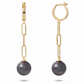 Versatile Fit Tahitian Black Pearl Paperclip Chain Earrings in Gold - 10-11mm