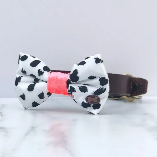 Pinto Neon Satin Dog Bow Tie