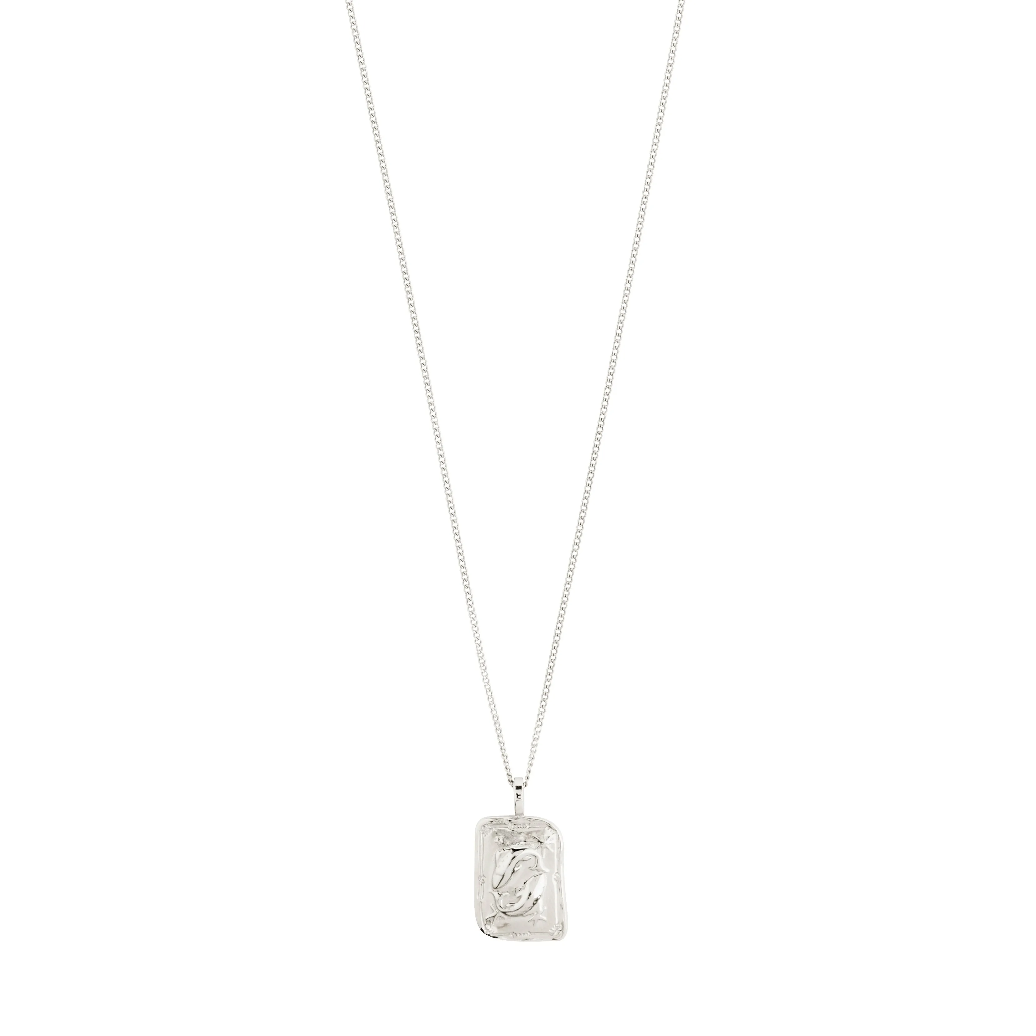PISCES Zodiac Sign necklace, silver-plated