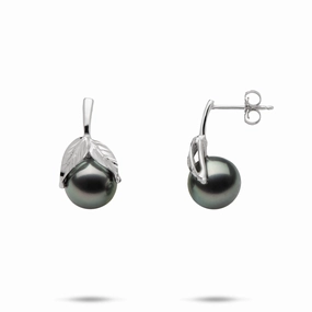 Iconic Touch Maile Tahitian Black Pearl Earrings in White Gold - 9-10mm