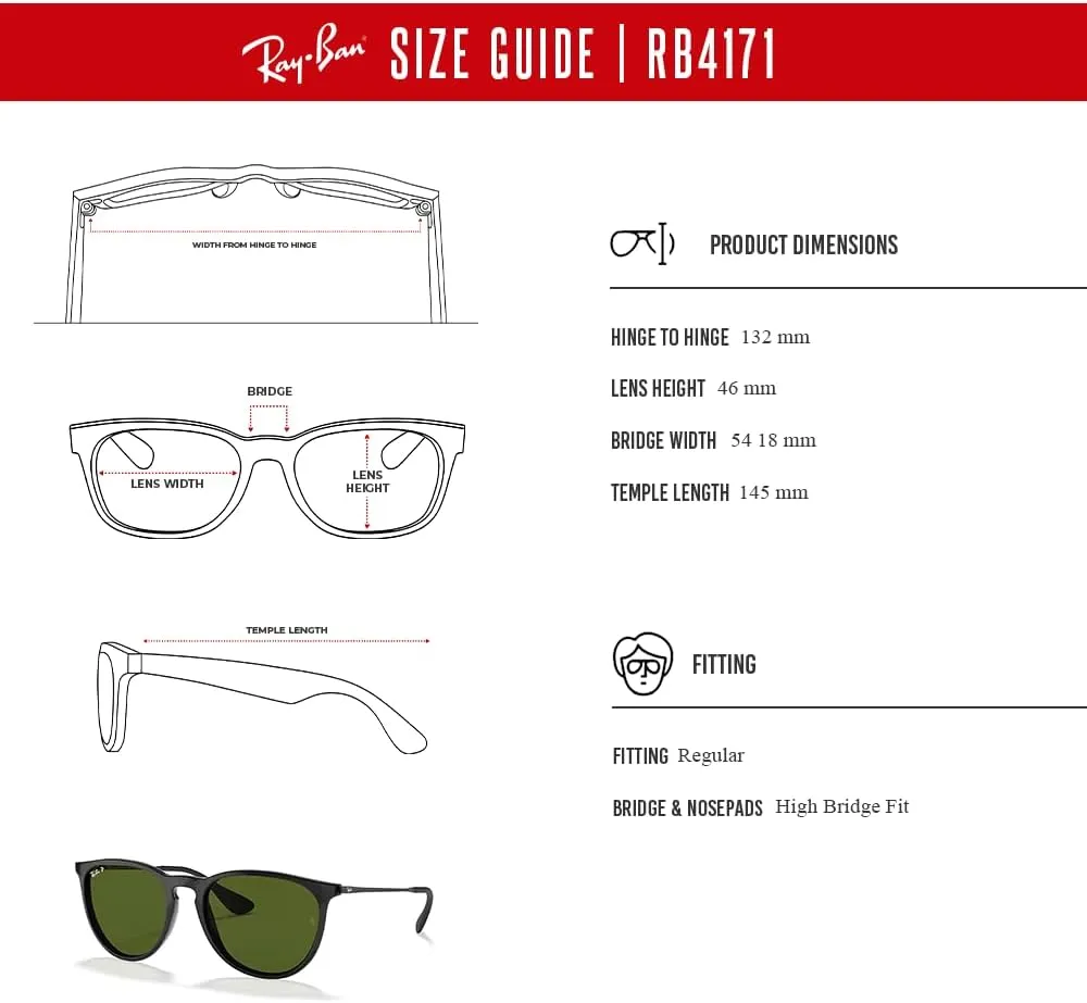 Ray-Ban RB4171 ERIKA Round Sunglasses For Women   BUNDLE with Designer iWear Eyewear Care Kit