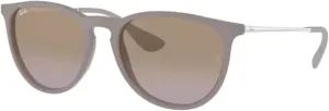 Ray-Ban RB4171 ERIKA Round Sunglasses For Women   BUNDLE with Designer iWear Eyewear Care Kit