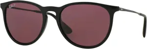 Ray-Ban RB4171 ERIKA Round Sunglasses For Women   BUNDLE with Designer iWear Eyewear Care Kit
