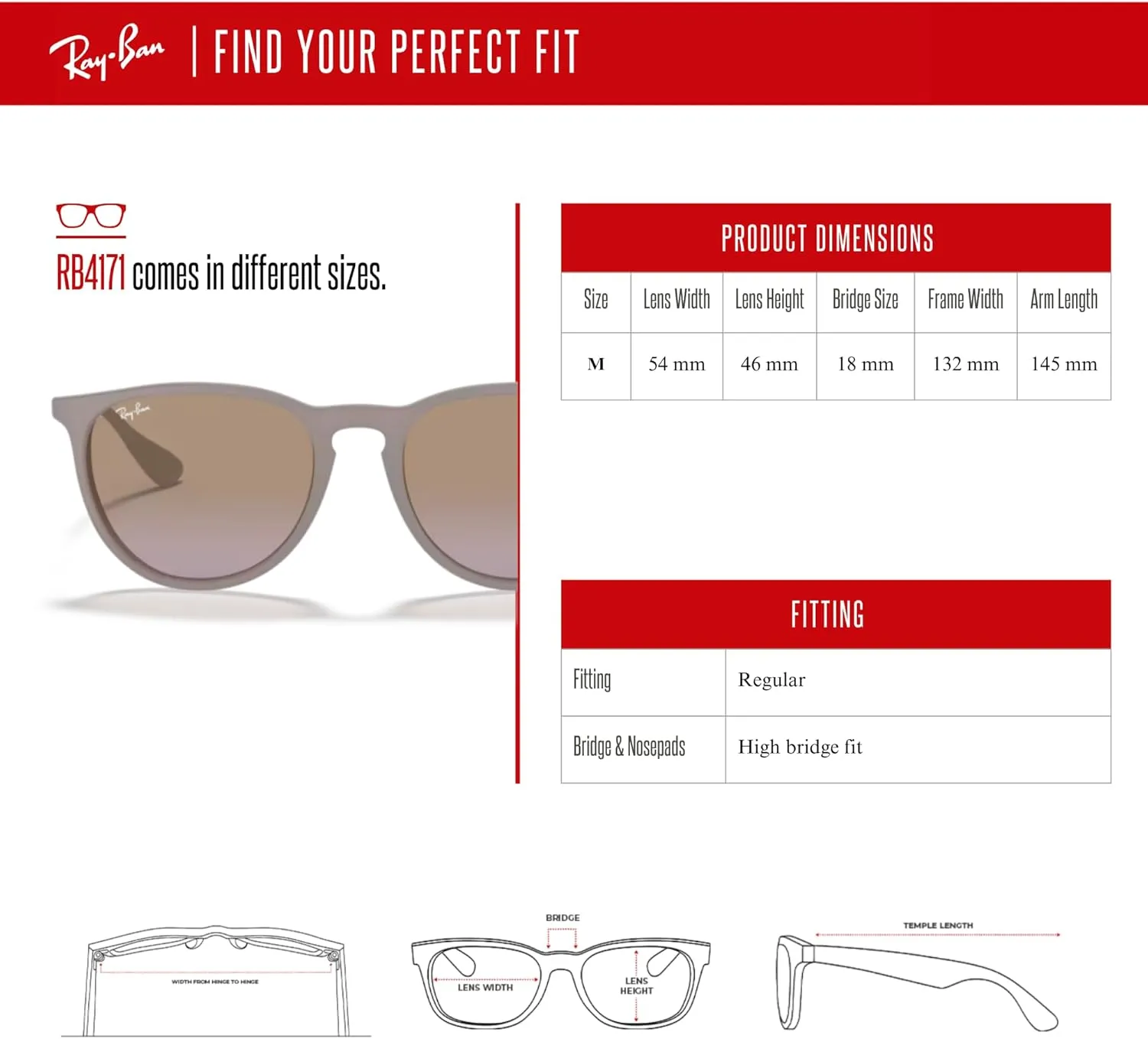 Ray-Ban RB4171 ERIKA Round Sunglasses For Women   BUNDLE with Designer iWear Eyewear Care Kit