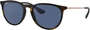 Ray-Ban RB4171 ERIKA Round Sunglasses For Women   BUNDLE with Designer iWear Eyewear Care Kit
