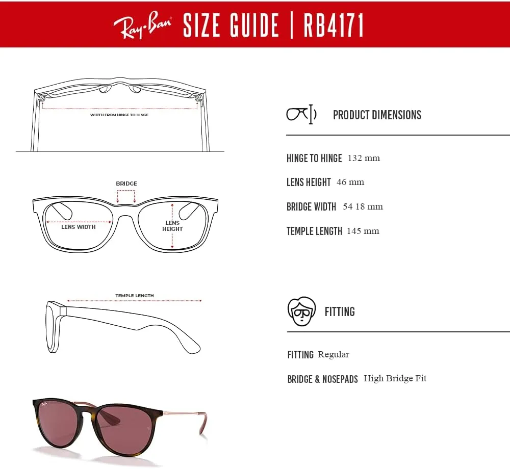 Ray-Ban RB4171 ERIKA Round Sunglasses For Women   BUNDLE with Designer iWear Eyewear Care Kit