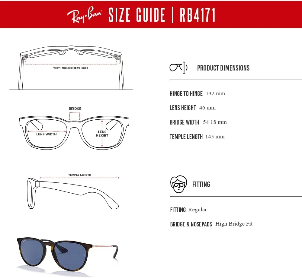 Ray-Ban RB4171 ERIKA Round Sunglasses For Women   BUNDLE with Designer iWear Eyewear Care Kit