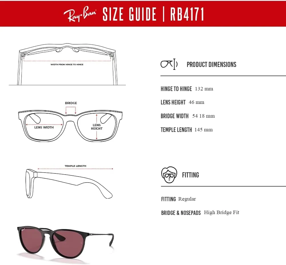 Ray-Ban RB4171 ERIKA Round Sunglasses For Women   BUNDLE with Designer iWear Eyewear Care Kit