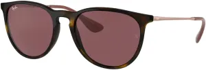 Ray-Ban RB4171 ERIKA Round Sunglasses For Women   BUNDLE with Designer iWear Eyewear Care Kit