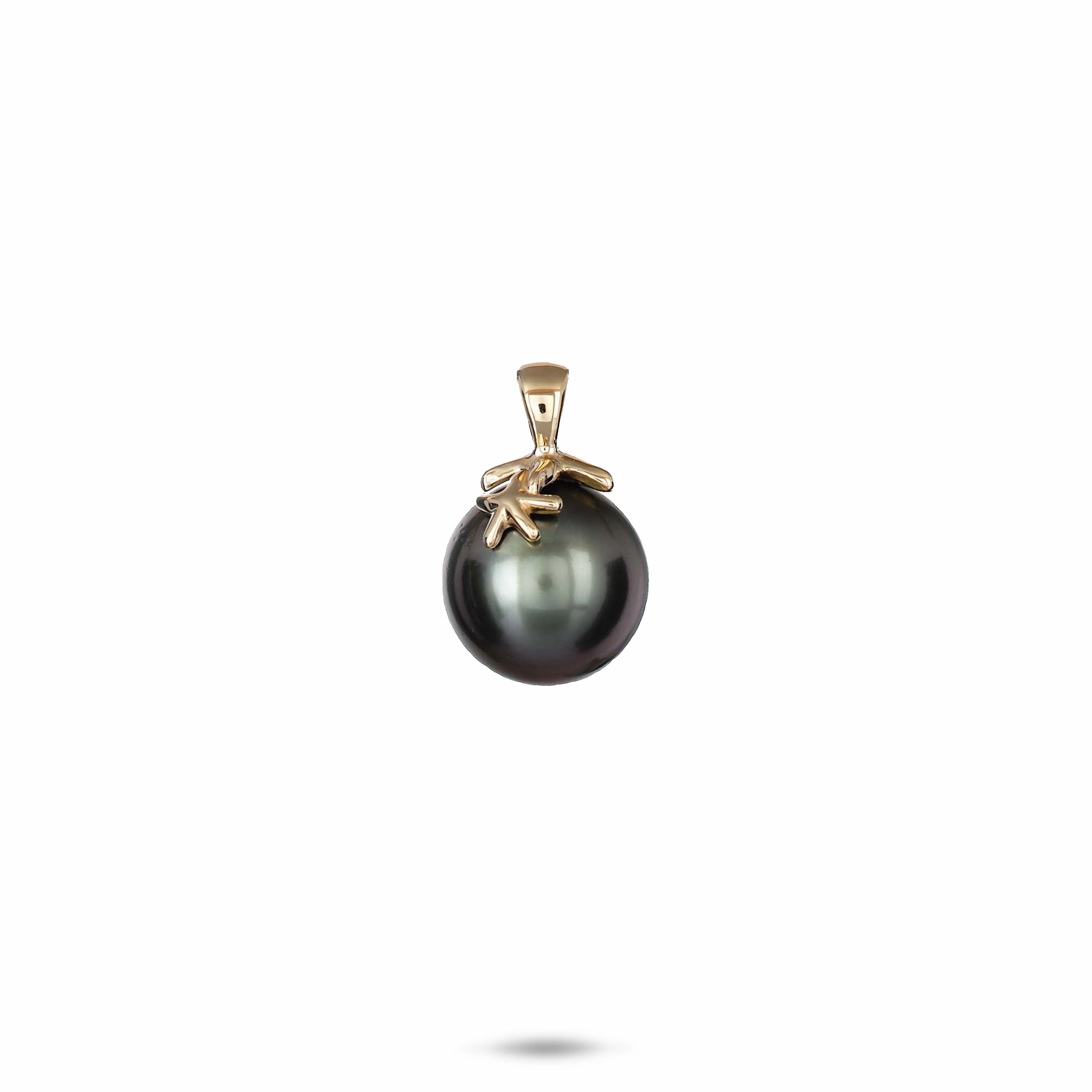 Refined Form Reefs Starfish Tahitian Black Pearl Pendant in Gold - 10-11mm