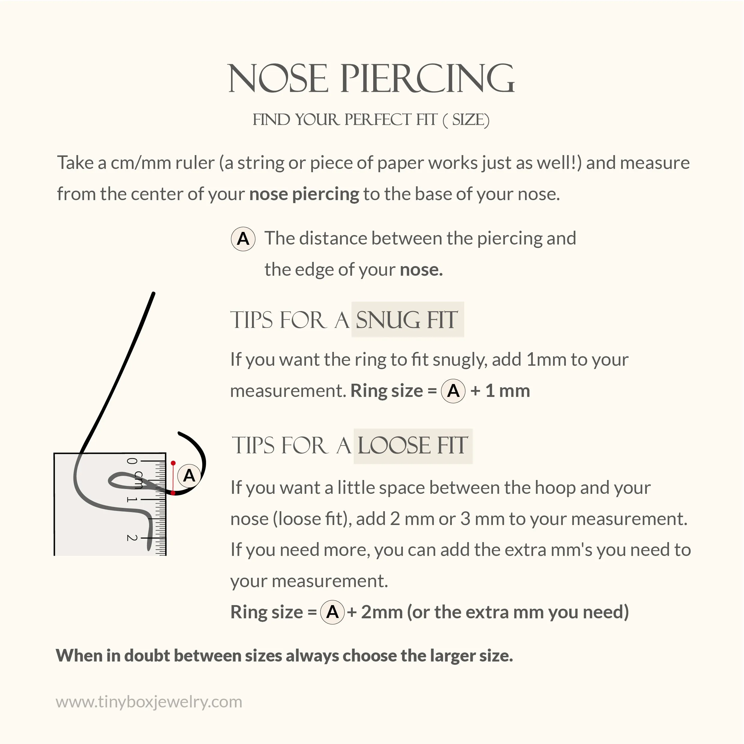 Single Hoop Nose Ring