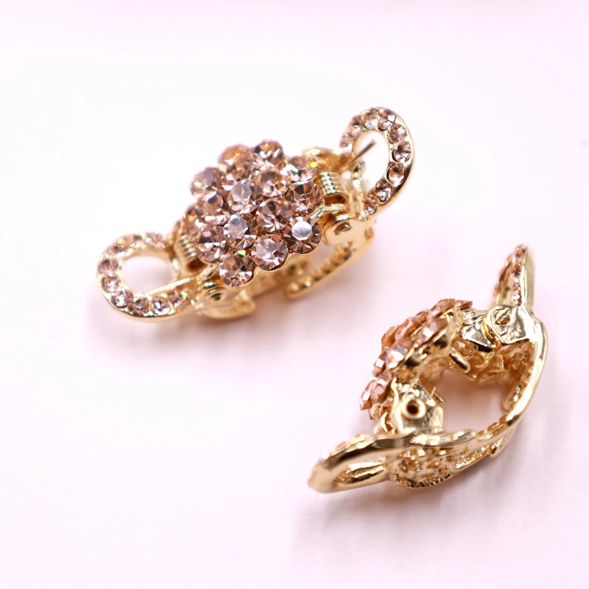 Small Claw Clips - Set of 2