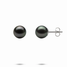 Tahitian Black Pearl Earrings in White Gold - 9-10mm Elegant Features Graceful Touch