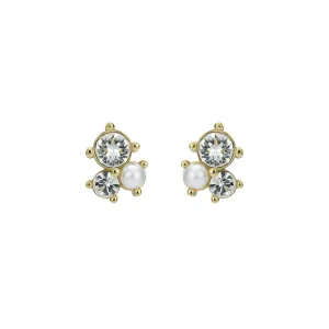 ted baker joyaa: jewel cluster stud earrings, gold tone, pearl, clear crystal