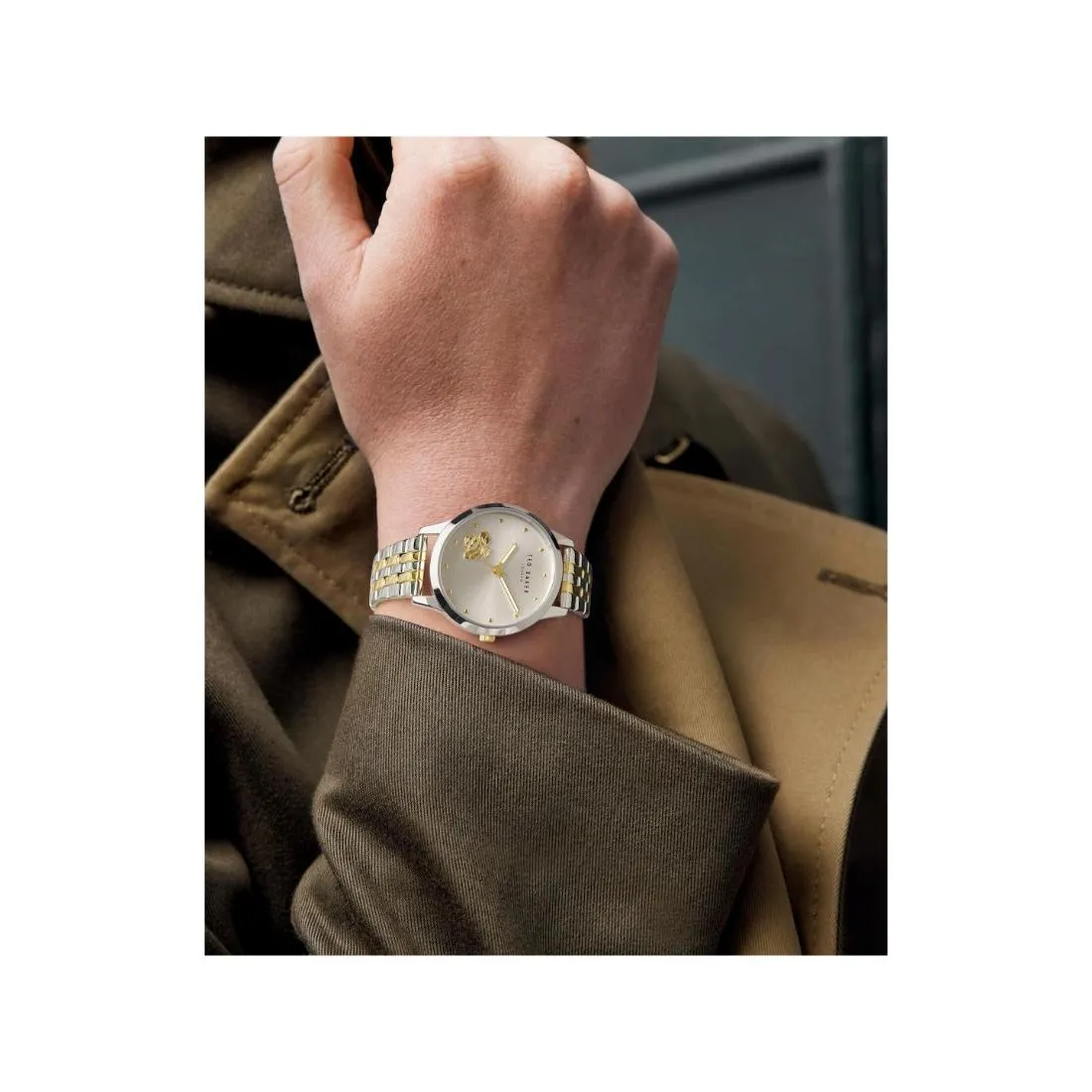 Ted Baker TB ICONIC Women 34 mm Silver Dial Analog Watch - BKPFZF207