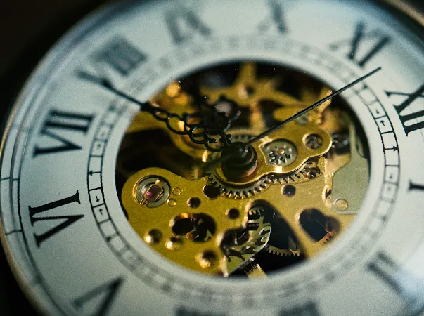 TreeWeto Vintage Pocket Watch