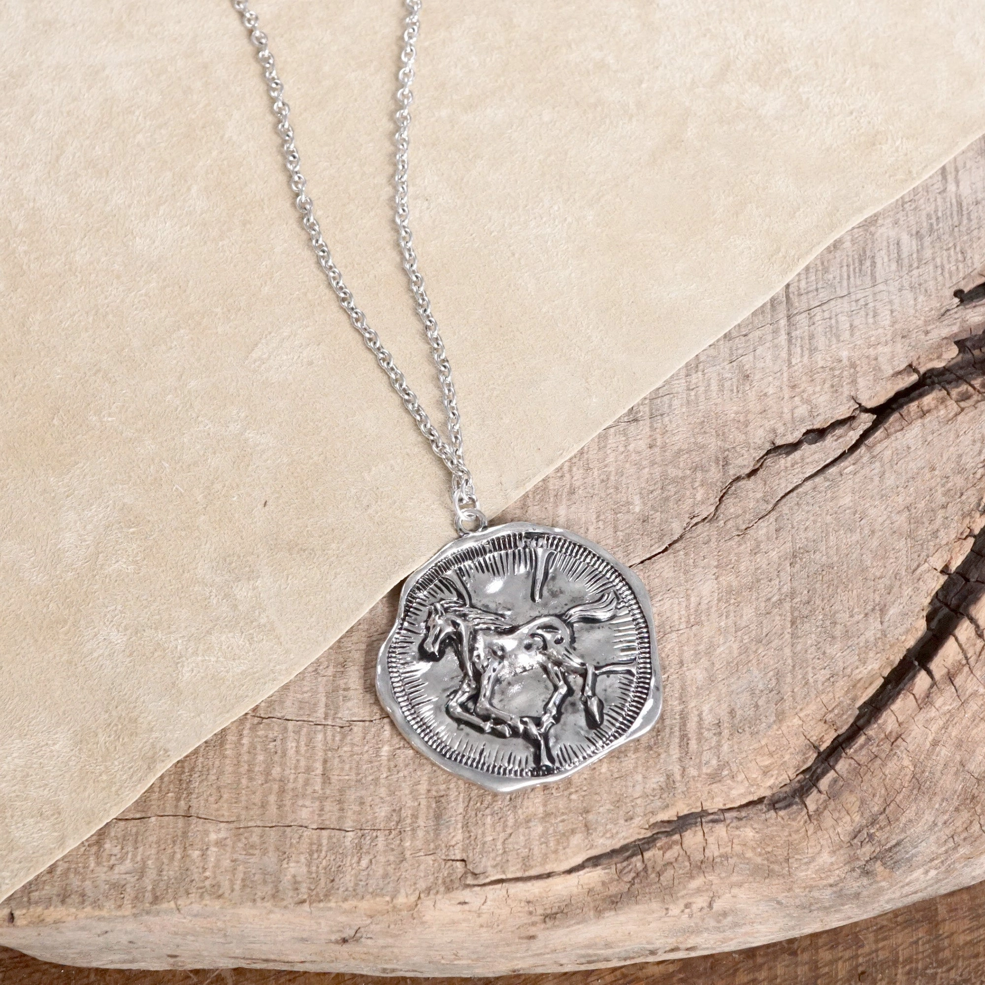 Layerable Accessory Equestrian Horse Coin Long Necklace Worn Gold or Silver