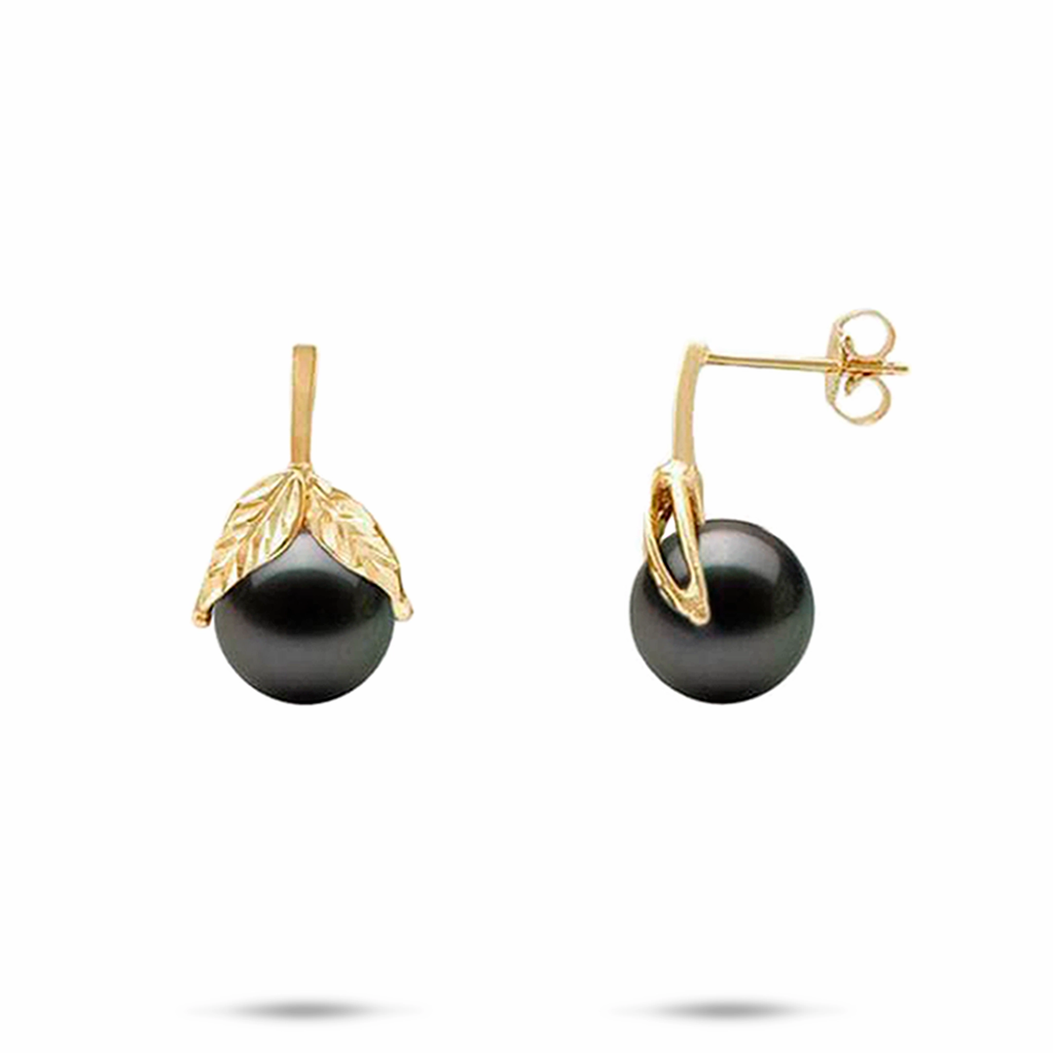 Impeccable Form Maile Tahitian Black Pearl Earrings in Gold - 9-10mm
