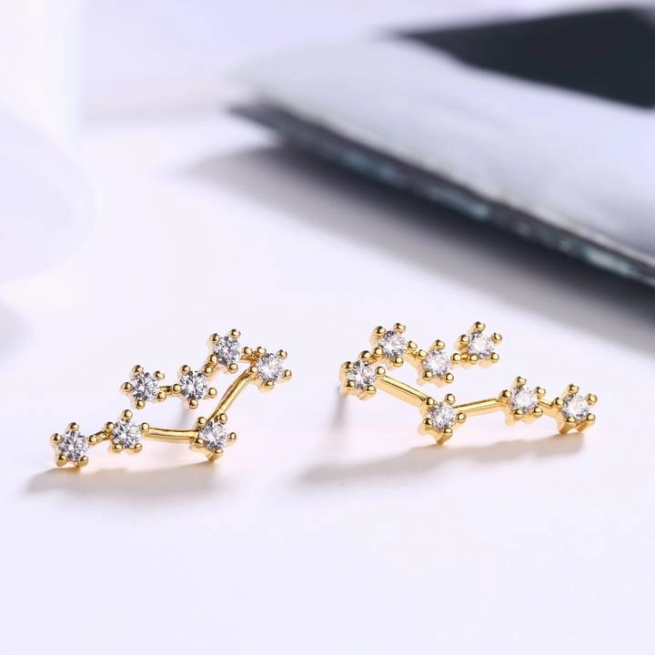 18K Gold Plated Zodiac Constellation Stud Earrings Glossy Adornment Avant-Garde Embellishment
