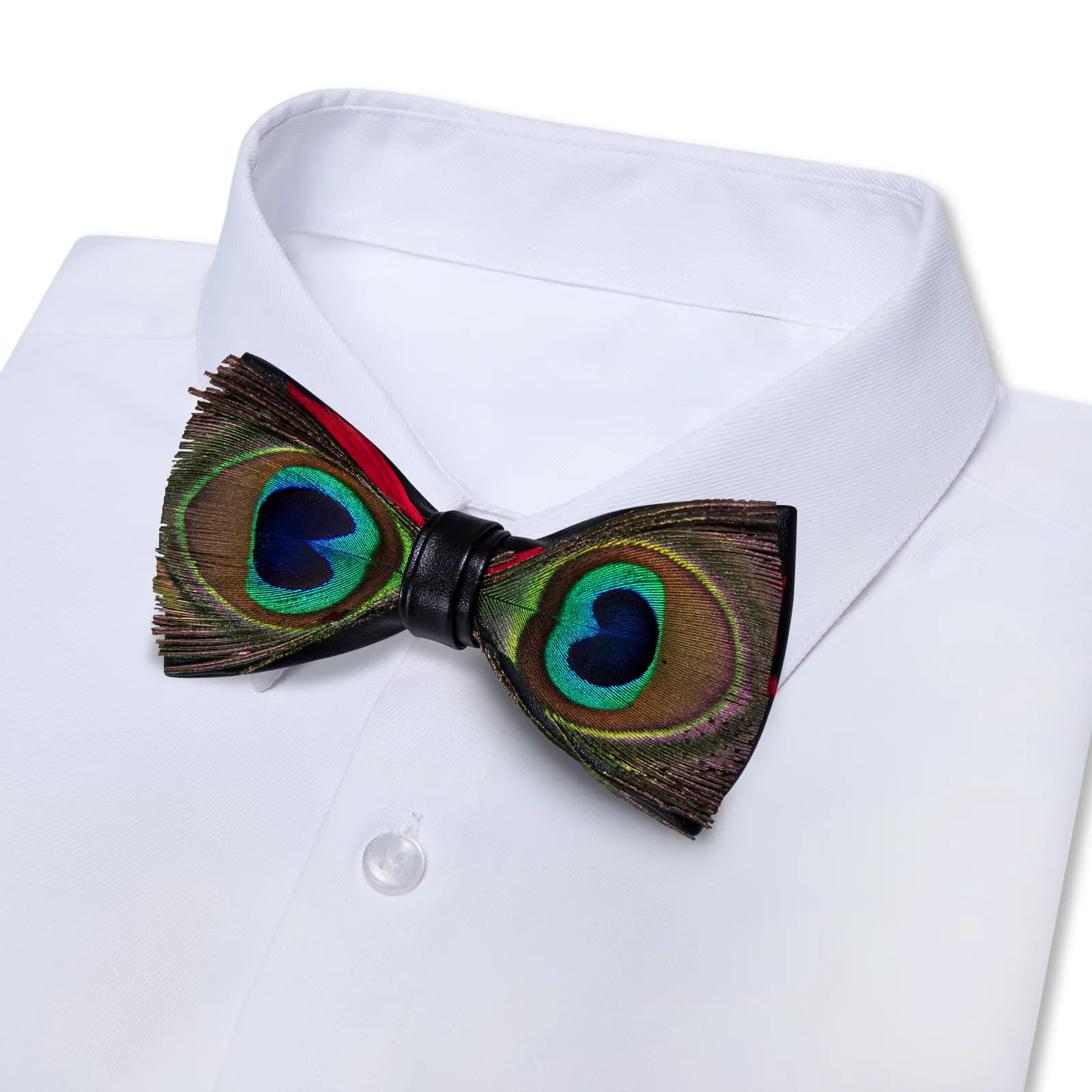YourTies Brown Blue Novelty Pattern Mens Pre-tied Bowtie Feather Bow Ties